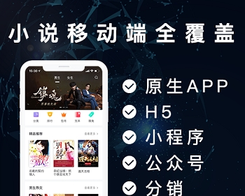 原生小说阅读APP，公众号分销系统，WAP站，低价出售